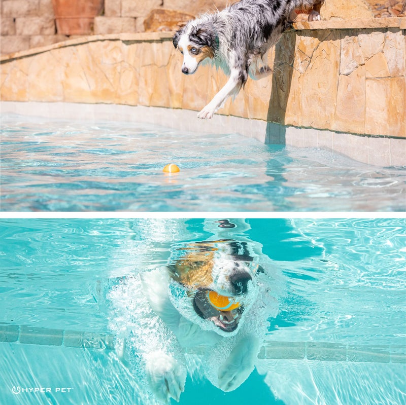 Hyper Pet Tennis Balls for Dogs (Safe Ball for Exercise and Training) Interactive Dog Toys work with Hyper Pet K9 Kannon K2 Dog Ball Launcher - 4 Pack 2.5" Orange - Image 4